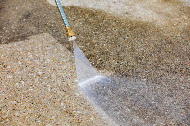 Best Gutter Cleaning  in Roseland, NJ